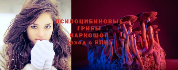 хмурый Богородицк