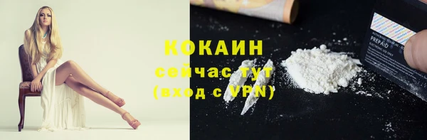 хмурый Богородицк