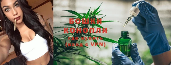 хмурый Богородицк