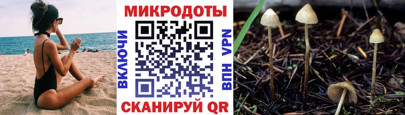 купить закладку  Вязники  Псилоцибиновые грибы мухоморы 